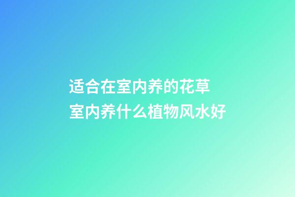 适合在室内养的花草 室内养什么植物风水好